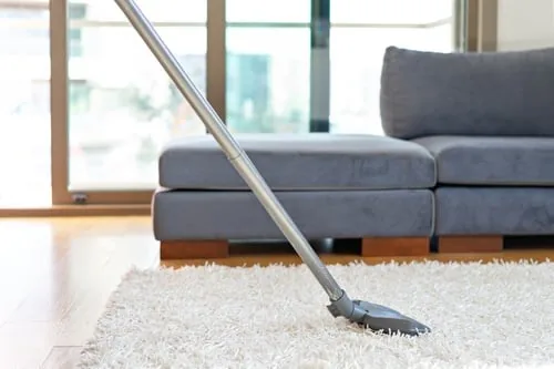Regular Cleaning / Limpieza Regular